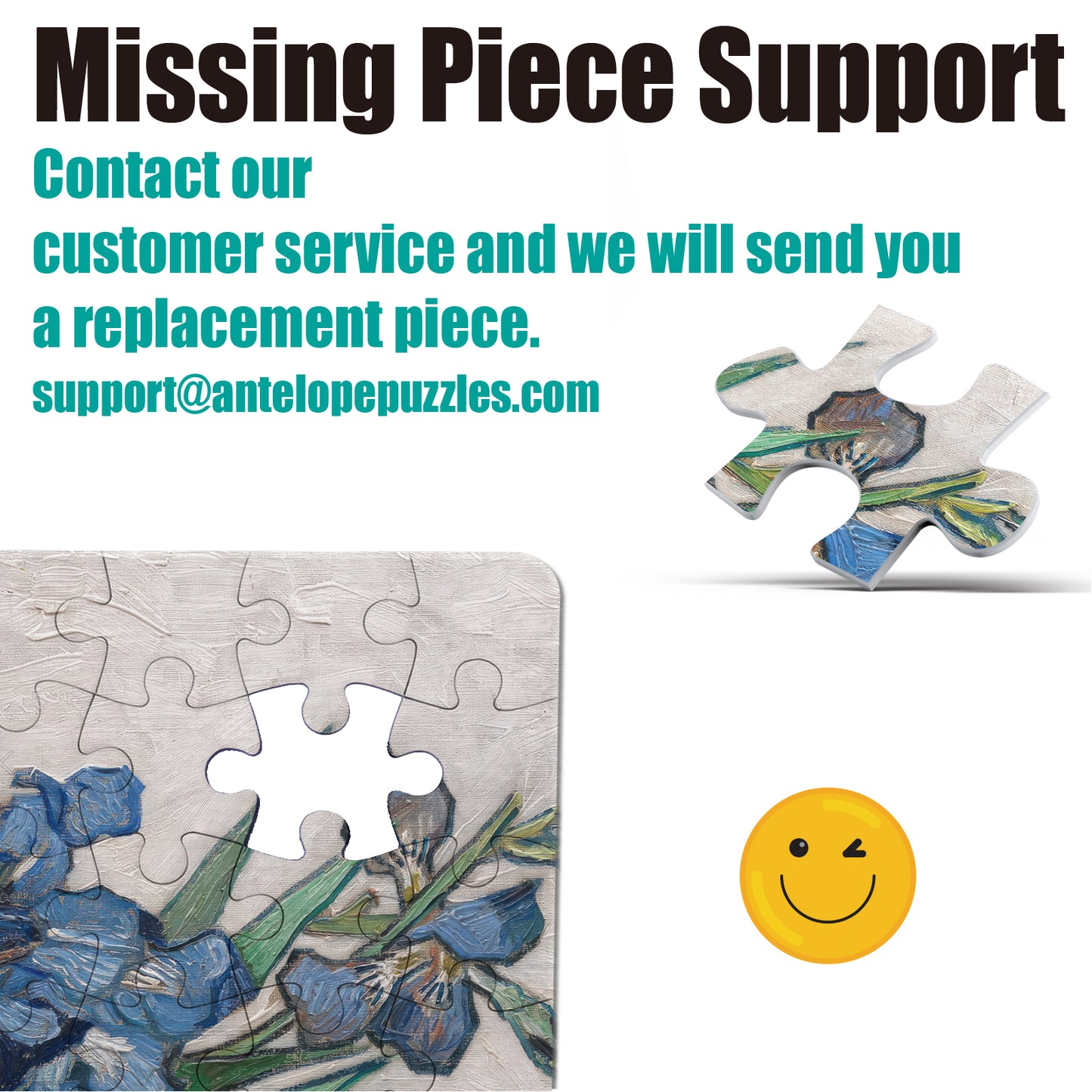 Irises, by Vincent Van Gogh, 1890 1000 Piece Jigsaw Puzzle