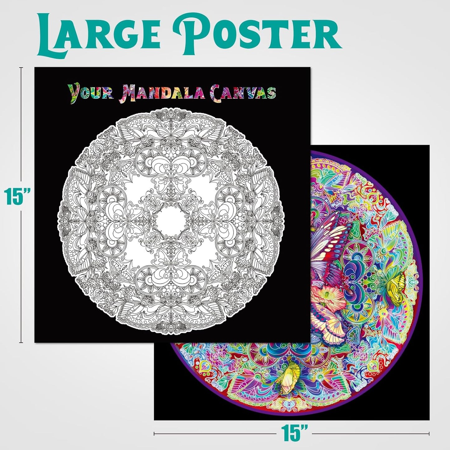 Mandala Morph 1000 Piece Jigsaw Puzzle