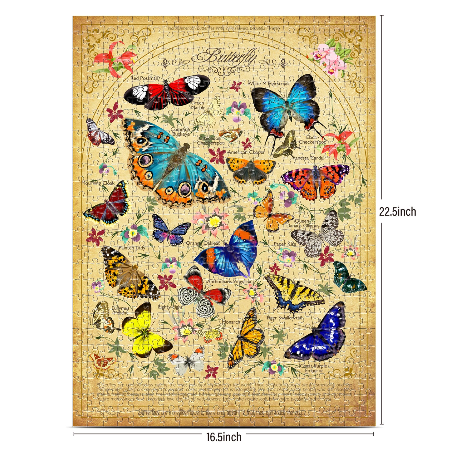 Eternal Butterflies of The Spotless Mind 500 Piece Jigsaw Puzzle