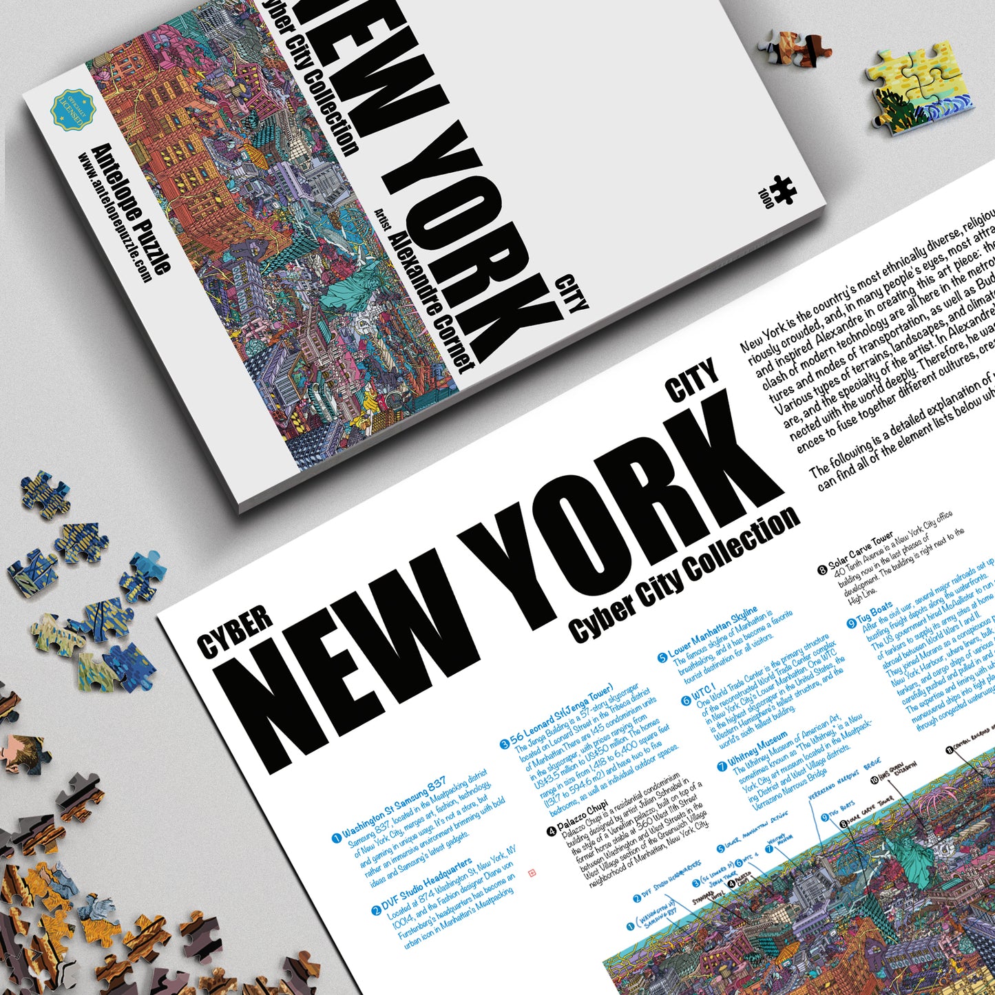 Cyber New York City-The High Line 1000 Piece Jigsaw Puzzle