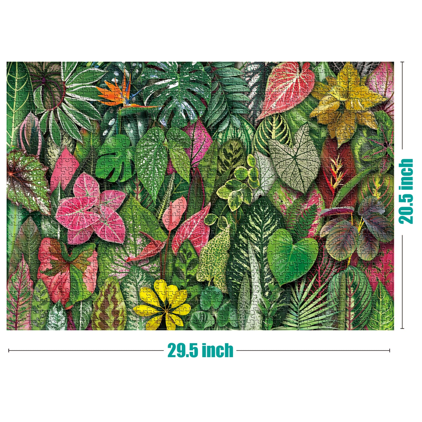 Foliage Frenzy 1000 Piece Jigsaw Puzzle