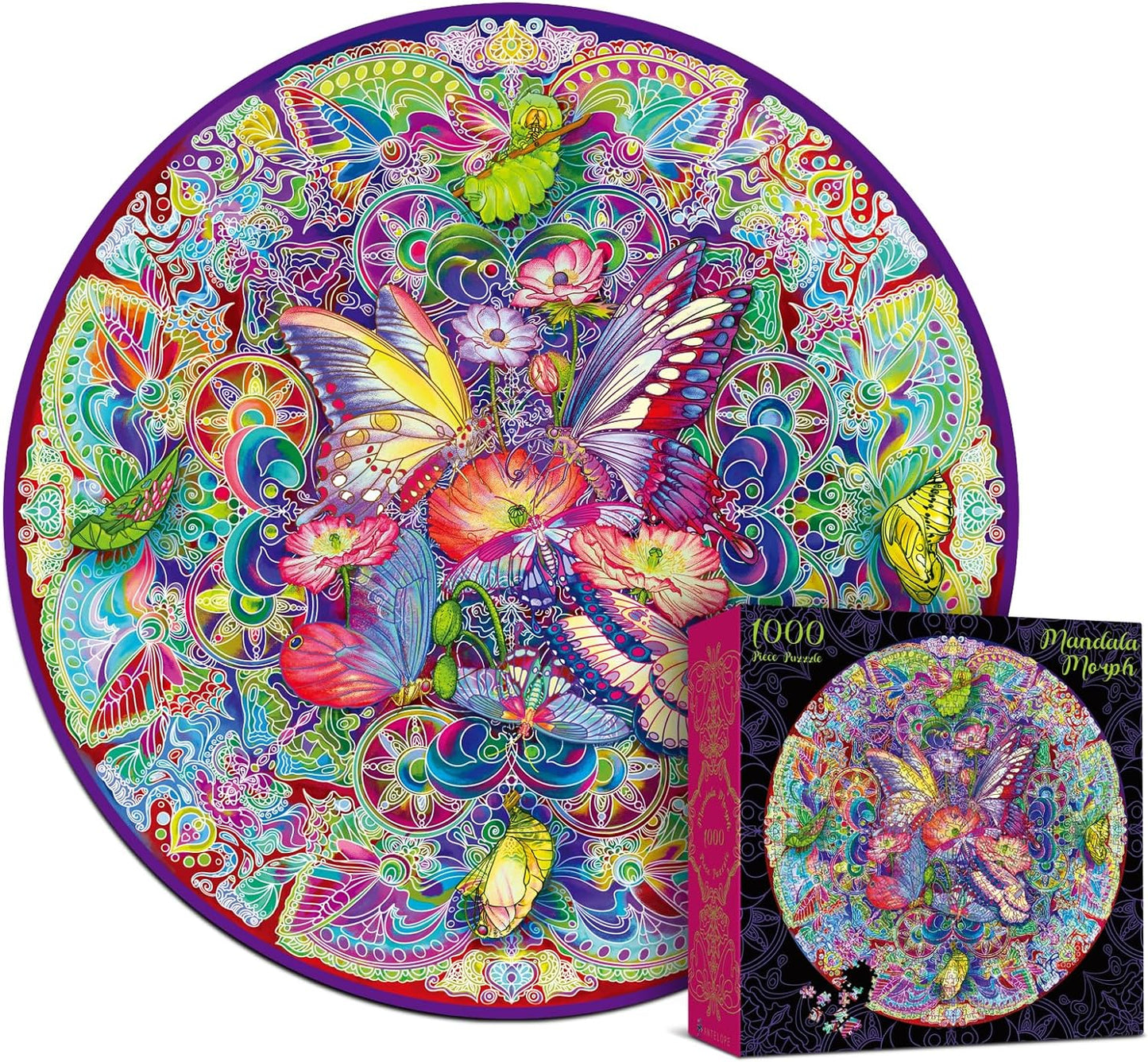 2 in 1 1000 Piece Jigsaw Puzzle  Bundle: Hue Wormhole & Mandala Morphe